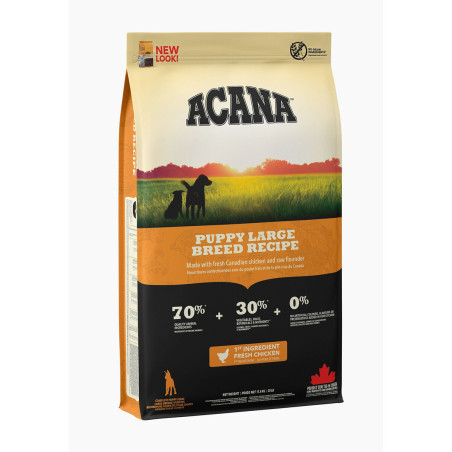 Fodder Acana Puppy Large Breed Recipe Kid/Junior 17 kg