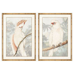 Painting DKD Home Decor Parrot Tropical 50 x 3 x 70 cm (2 Units)