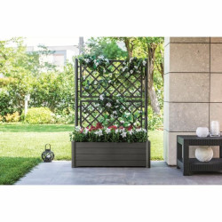 Planter Stefanplast 80036 Moka 100 x 43 x 142 cm Rectangular