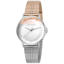 Ladies' Watch Esprit ES1L065M0105