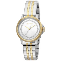 Ladies' Watch Esprit ES1L144M0105