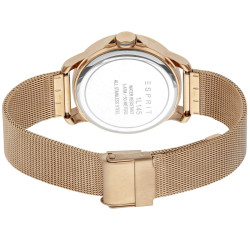 Ladies' Watch Esprit ES1L145M0095