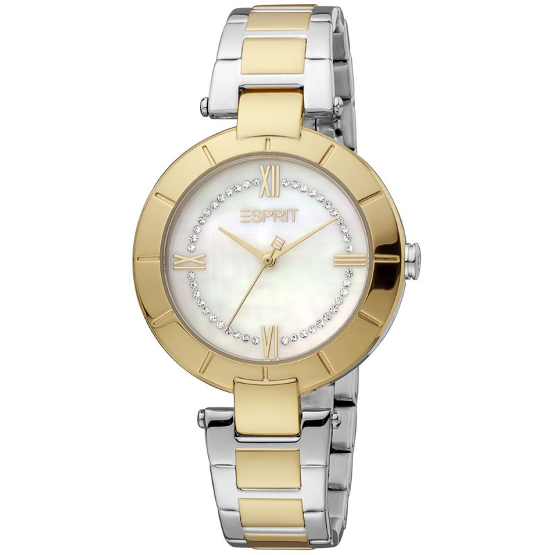 Ladies' Watch Esprit ES1L287M0105