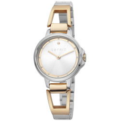 Ladies' Watch Esprit ES1L146M0035