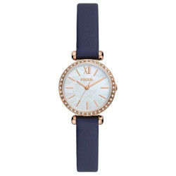 Ladies' Watch Fossil TILLIE MINI (Ø 26 mm)