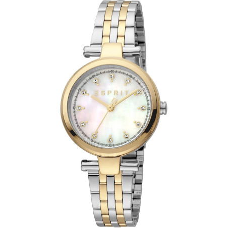 Ladies' Watch Esprit ES1L281M1095