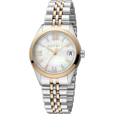 Ladies' Watch Esprit ES1L321M0095