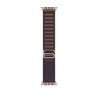 Watch Strap Apple MT5N3ZM/A S