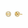 Ladies' Earrings Michael Kors MKC1727CZ710