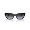 Ladies' Sunglasses Ralph Lauren RA 5307U