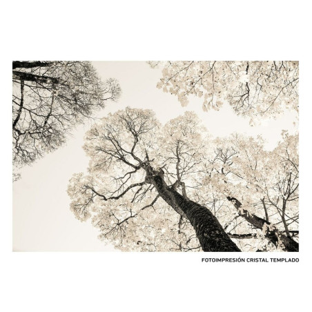 Canvas Trees 120 x 4 x 80 cm