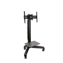 TV Mount Ergotron 24-192-085