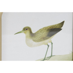 Painting DKD Home Decor Birds Cottage 30 x 2 x 30 cm (6 Units)