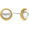 Ladies' Earrings Ti Sento 7923YP