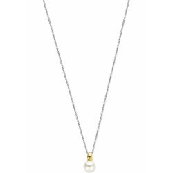 Ladies' Necklace Ti Sento 34037YP/42