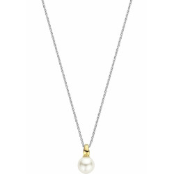 Ladies' Necklace Ti Sento 34037YP/42