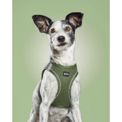 Dog Harness Gloria 28-28,6 cm Green XXS 24-26 cm