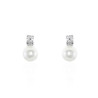 Ladies' Earrings Stroili 1651534