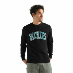 Hoodie Dickies Aitkin Black