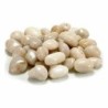 Decorative Stones Medium White 3 Kg (4 Units)