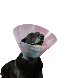 Elizabethan Dog Collar KVP Betsy (33-40 cm)