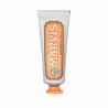 Toothpaste Ginger Mint Marvis (25 ml)