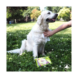 Wet Wipes for Pets GILL'S XL 30 x 20 cm 40 Units