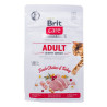 Cat food Brit Care Grain Free Activity Support Adult Adult Chicken Turkey 400 g