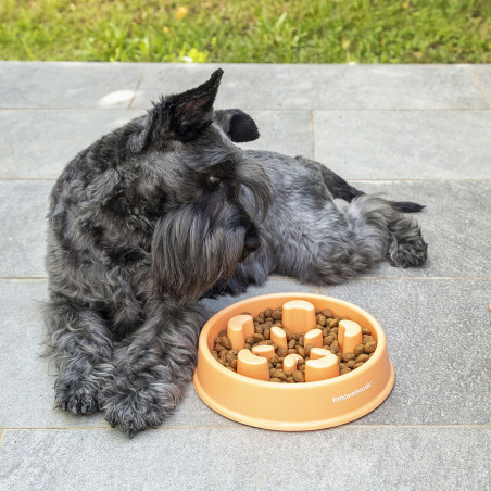 Slow Eating Food Bowl for Pets Slowfi InnovaGoods