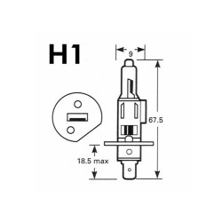 Car Bulb M-Tech PTZSW1-DUO H1 55W P14,5s