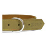 Dog collar Gloria Oasis Green (40 x 1,5 cm)