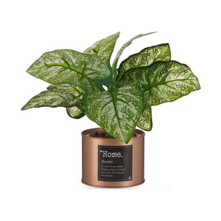 Decorative Plant Home Copper Can 26 x 26 x 26 cm Metal Green Plastic