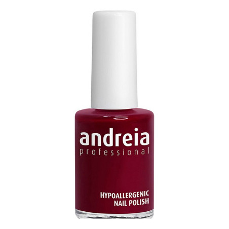 nail polish Andreia Nº 102 (14 ml)