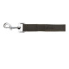 Dog Lead Gloria Oasis 1.5 x 100 cm Black