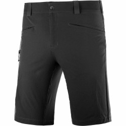 Men's Sports Shorts Salomon Wayfarer