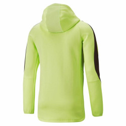 Men’s Hoodie Puma Evostripe Green Full zips