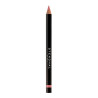 Lip Liner Stendhal Precision Nº 302 Bois De Rose