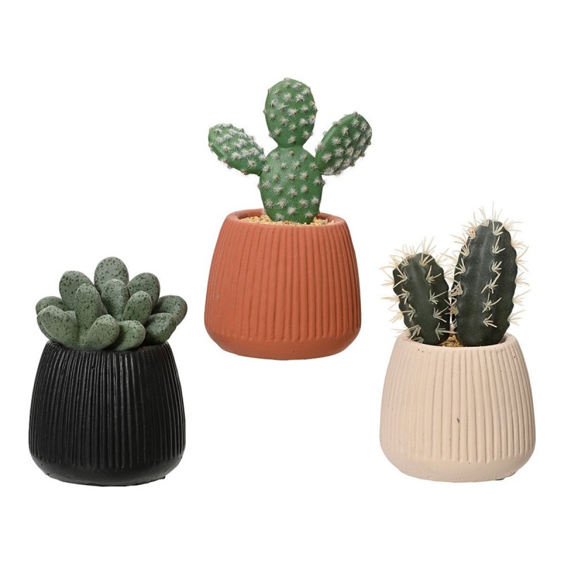 Decorative Plant EDM 808448 Cactus 14 cm