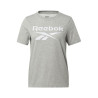 Women’s Short Sleeve T-Shirt Reebok RI BL TEE HB2272  Grey