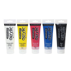 Acrylic paint Daler Rowney Multicolour 5 Pieces 120 ml