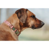 Dog collar Hunter Inari Red XL 45-65 cm