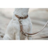 Dog collar Hunter Inari Beige XL 45-65 cm