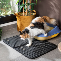 Cat Litter Tray Mat Clikatt InnovaGoods