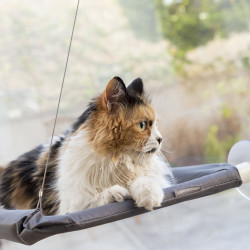 Hanging Cat Hammock Catlax InnovaGoods