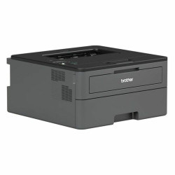 Monochrome Laser Printer Brother HLL2370DNG1