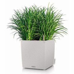 Plant pot Lechuza 50 x 50 cm