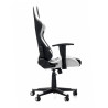 Gaming Chair Woxter Stinger Station White Black Black/White