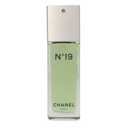 Women's Perfume Chanel Nº 19 EDT 100 ml