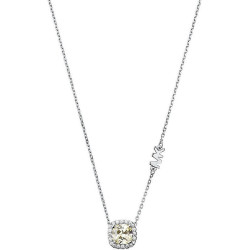 Ladies' Necklace Michael Kors MKC1407BJ040