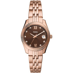 Ladies' Watch Fossil SCARLETTE (Ø 32 mm)